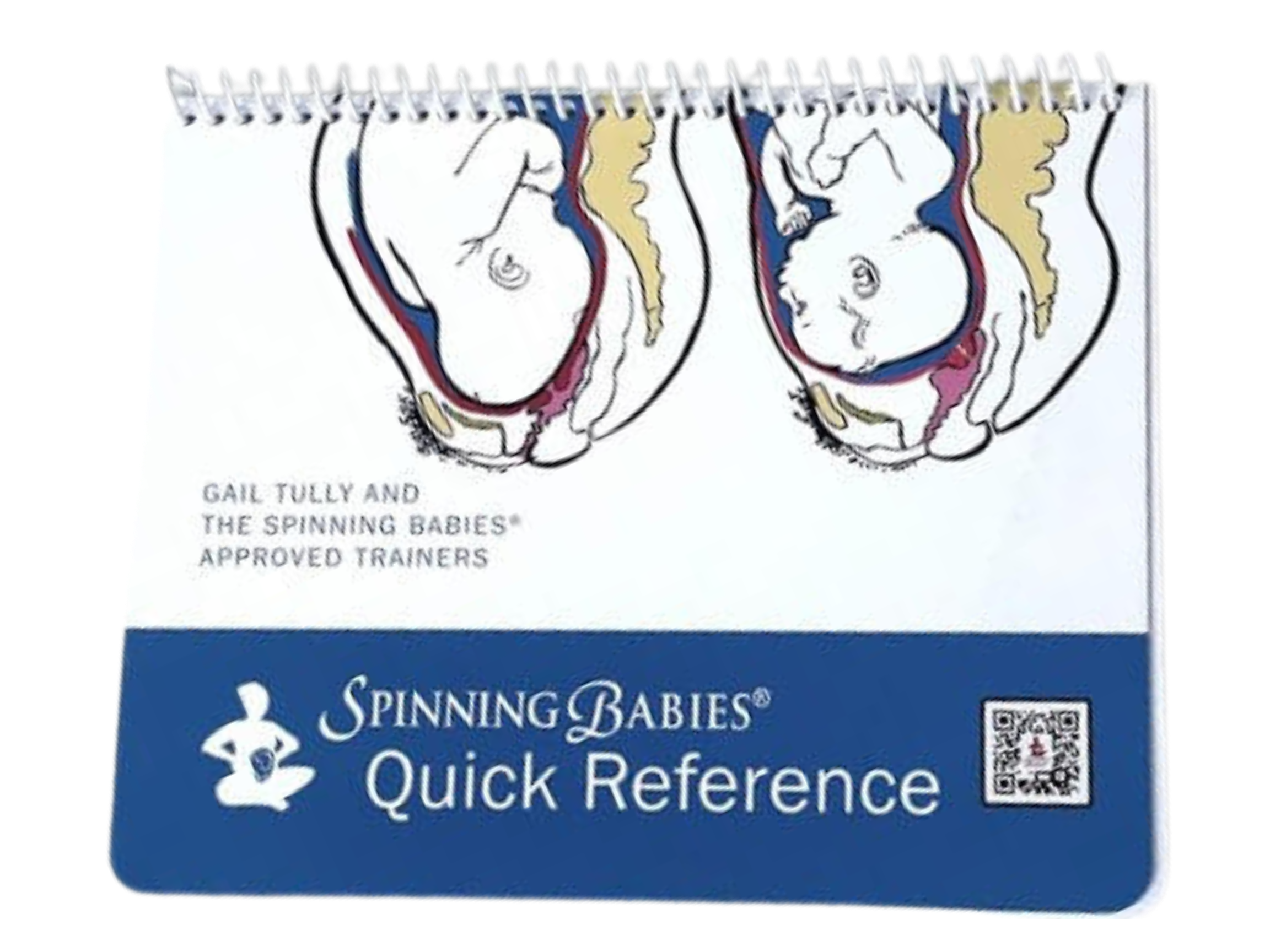 Spinning Babies© Quick Reference